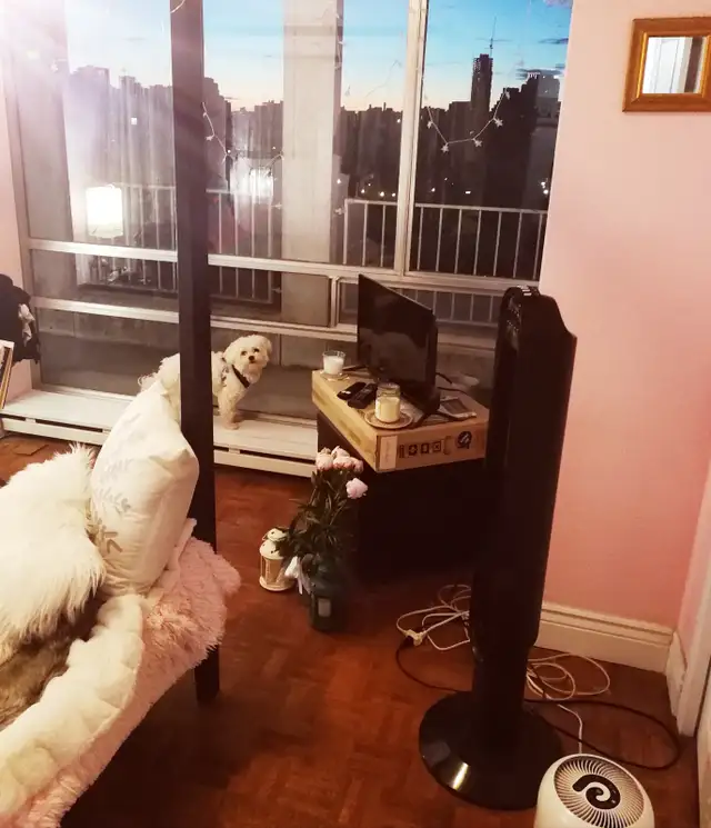 Forest Hill Furnished Room for Rent – $750 All-Inclusive in Room Rentals & Roommates in City of Toronto - Image 4