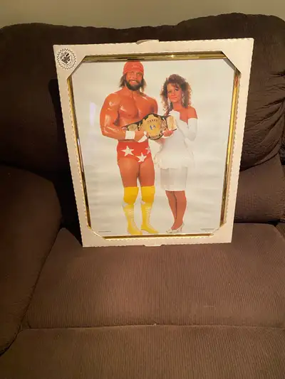 Pick up in Hamilton or can ship Frame is 16”x 20” This is one of a kind piece of WWF