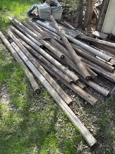 I'm selling a collection of wooden fence posts, ideal for various landscaping or fencing projects. T...