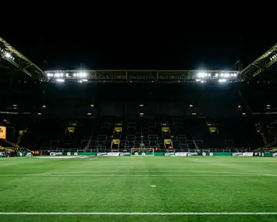 Looking for soccer players , View more