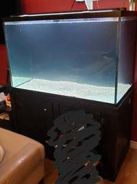 Aquarium  150 gallons avec meuble et top en vitre.