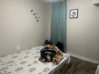 room available for rent