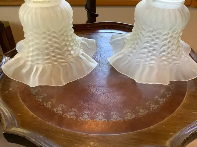 Two Vintage Frosted Petticoat Glass Lamp Shades in Indoor Lighting & Fans in Belleville - Image 4