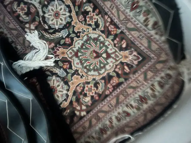 Persian  Rug in Rugs, Carpets & Runners in Markham / York Region - Image 4