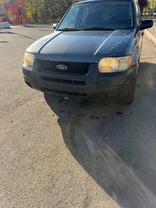 Ford Escape595518016078499843