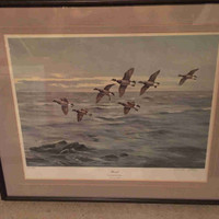 Canada geese ducks unlimited [SOLD]