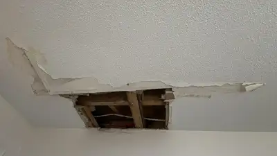 Drywall Mud-Tape-Patch-Hole-Repair $100, View more