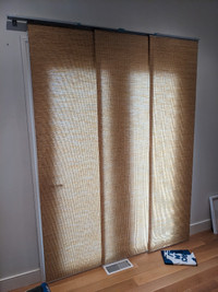 Sliding door curtains