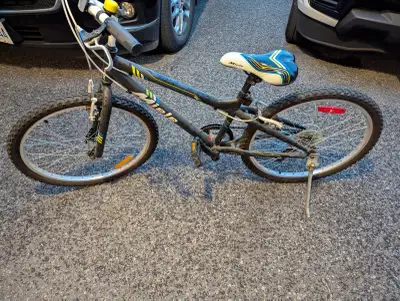 Miele 20" kids bike, View more