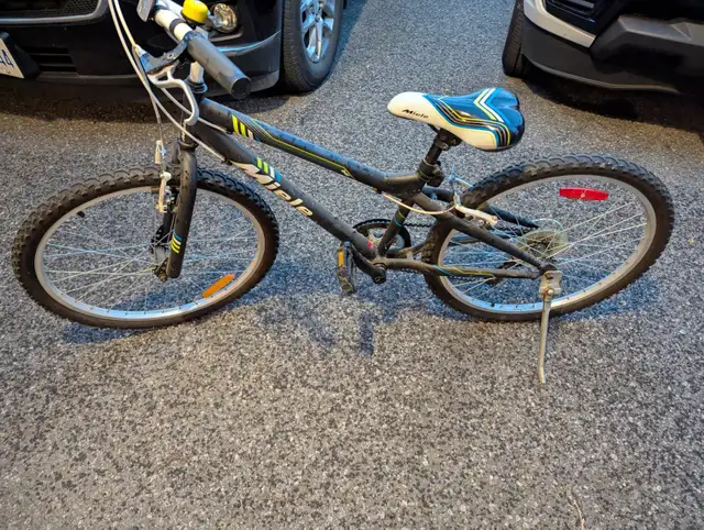 Miele 20" kids bike in Kids in Ottawa - Image 2