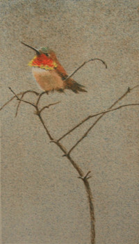 Robert Bateman Rufus Hummingbird Original Lithograph