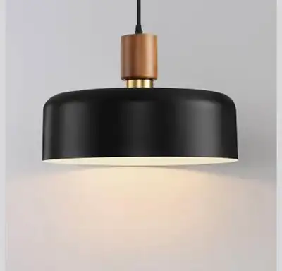 Eustace 13.8 inch Large Pendant Light, Adjustable Metal, View more