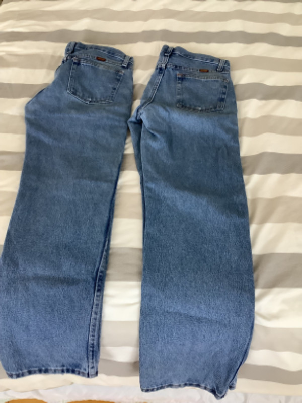 2 paires de jeans et 1 short grandeur 30 dans Hommes  à Saint-Hyacinthe - Image 4