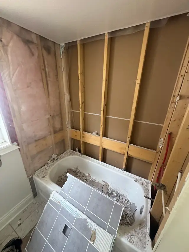 Bathroom renovation586009573579837442