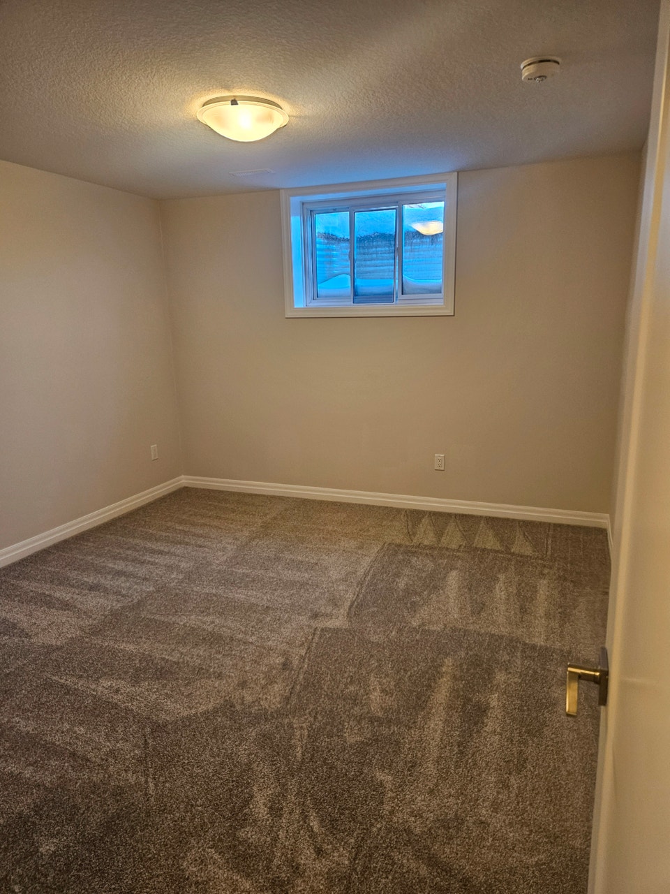 Sunny basement suite 2