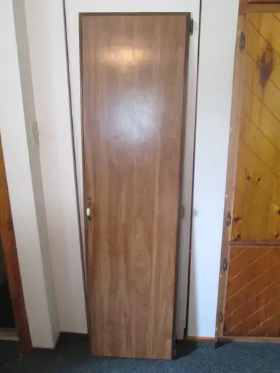 1 cupboard door with hardware (19 1/2 x 72), View more