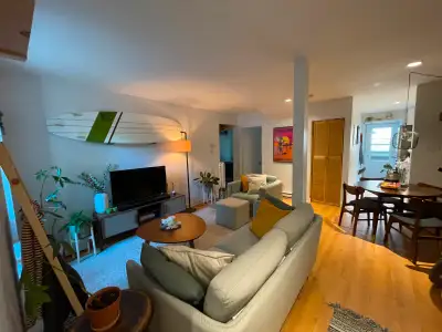 *******beautiful 2 bedroom near McGill university ******