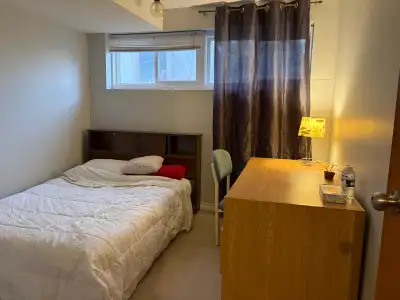 This four-window basement room is available for rent and comes furnished with a bed, desk, and chair...