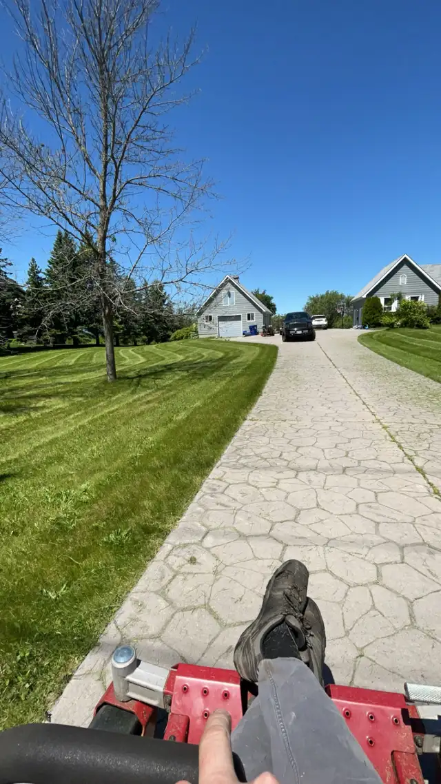 Lawn Care & Landscaping Services in Lawn, Tree Maintenance & Eavestrough in Belleville - Image 3