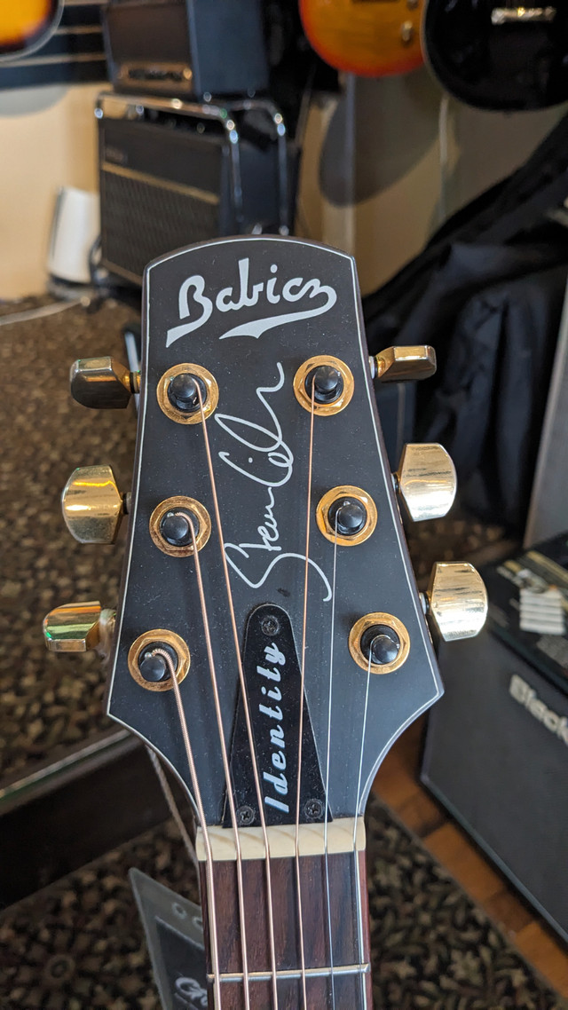 Babicz Steven Wilson Signature Acoustic Electric Guitar in Guitars in City of Toronto - Image 2