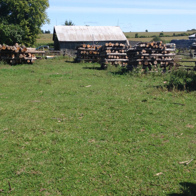 Farm fence posts and rails    8'-4' tops 10-12' rails (log)s) in Decks & Fences in Markham / York Region - Image 3