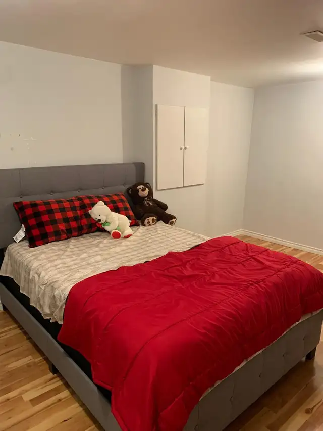 1 Bedroom basement for Rent - Brampton