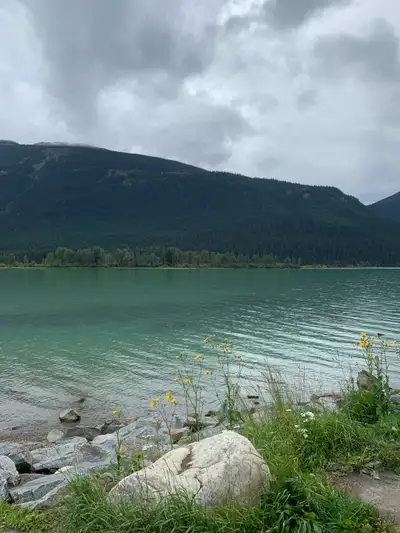 Looking  for full time employment, View more