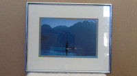 BEAUTIFUL FRAMED PHOTO OF AN ORCA BY ALEXANDRA MORTON FOR SALE!