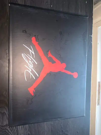 Jordan 4 Red Thunder taille 10