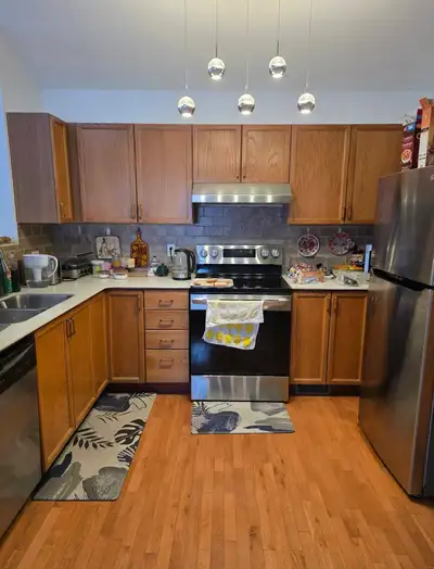 kitchen cabinet painter , View more