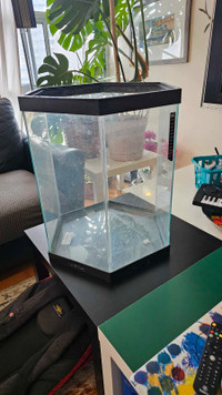 Hegen's Hexagonal Fish Tank