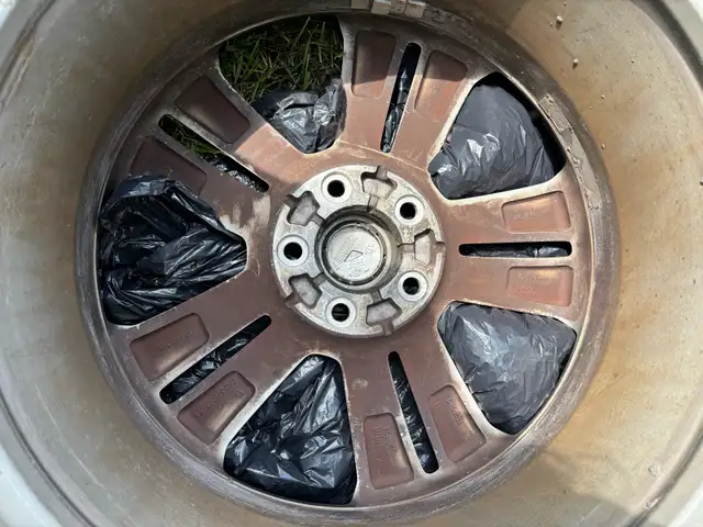 mustang mags 19” in Tires & Rims in Longueuil / South Shore - Image 9