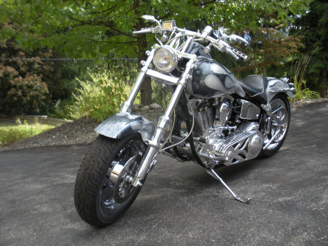 Custom 1986 Harley Davidson FXSTC. dans Utilitaires et de promenade  à Comté de Strathcona - Image 3