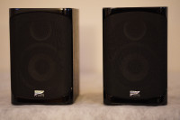 Sinclair Audio Brighton Series SB 140S Speakers