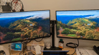dual Dell monitor (give away stand + cables + arm + chair)