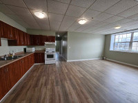 NEWLY RENOVATED 5-BEDROOM 2-BATH APARTMENT FOR RENT in Downtown 