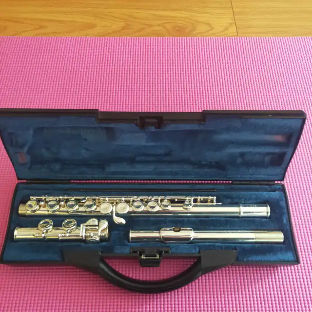Buffet Crampon Western Concert Flute + Book in Woodwind in Richmond - Image 2