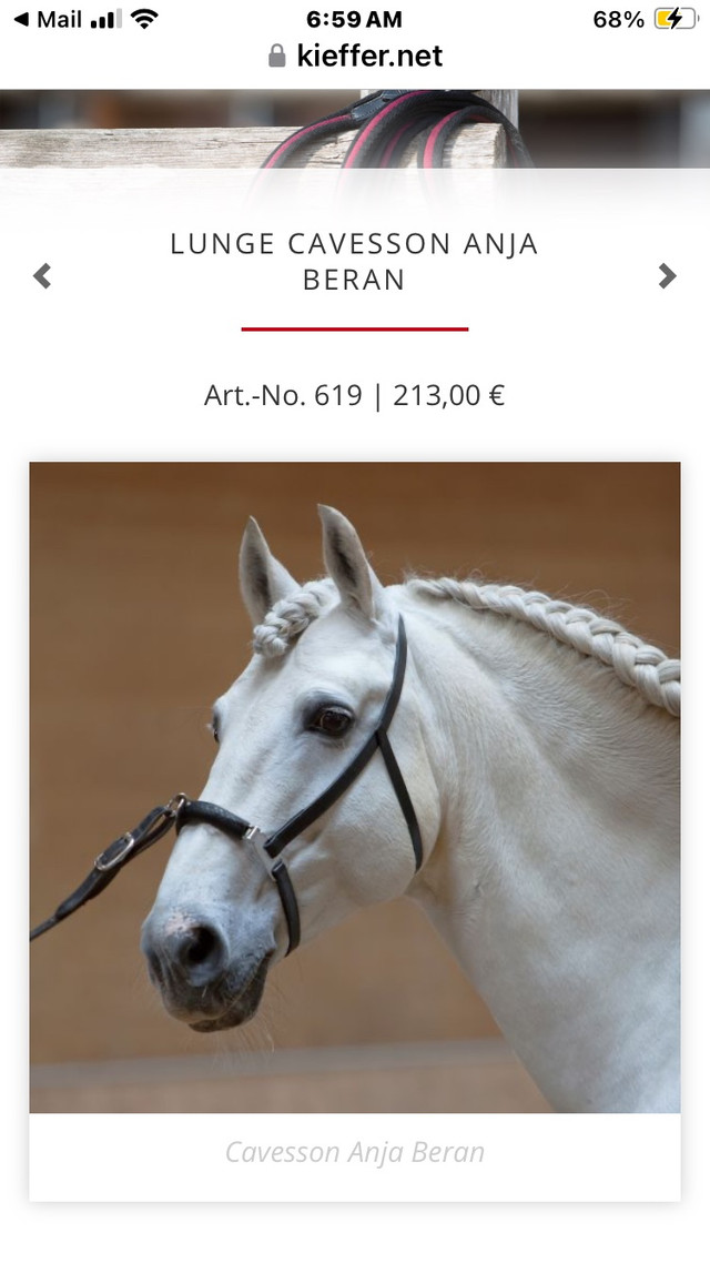 Lunging cavesson by Kieffer new price in Equestrian & Livestock Accessories in Calgary - Image 3