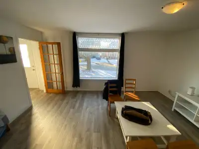 Rentals $700-$750. Suitable for mature clean, students/professionals. Close proximity to grocery, do...