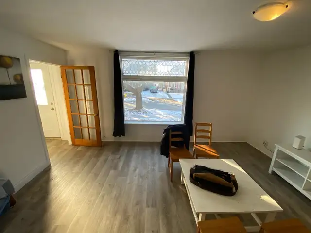 mature student, new professional rental