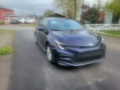 For sale newer model corolla, 25,000 or nearest offer.