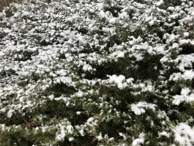 Cash for Surveys!!! Really works!!!!, View more