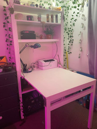 Desk / Book Shelf Fold Up Ikea 