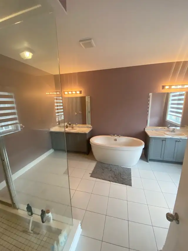 PROFESSIONAL, AFFORDABLE PAINTER489527857266698244