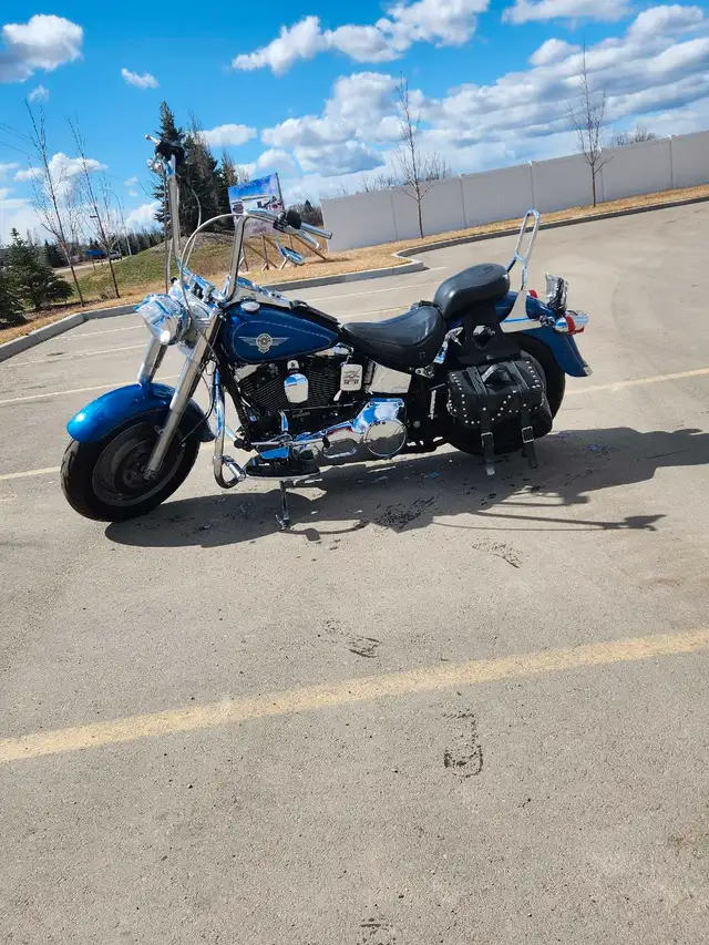 1993 Harley Davidson Fatboy in Street, Cruisers & Choppers in Red Deer - Image 5