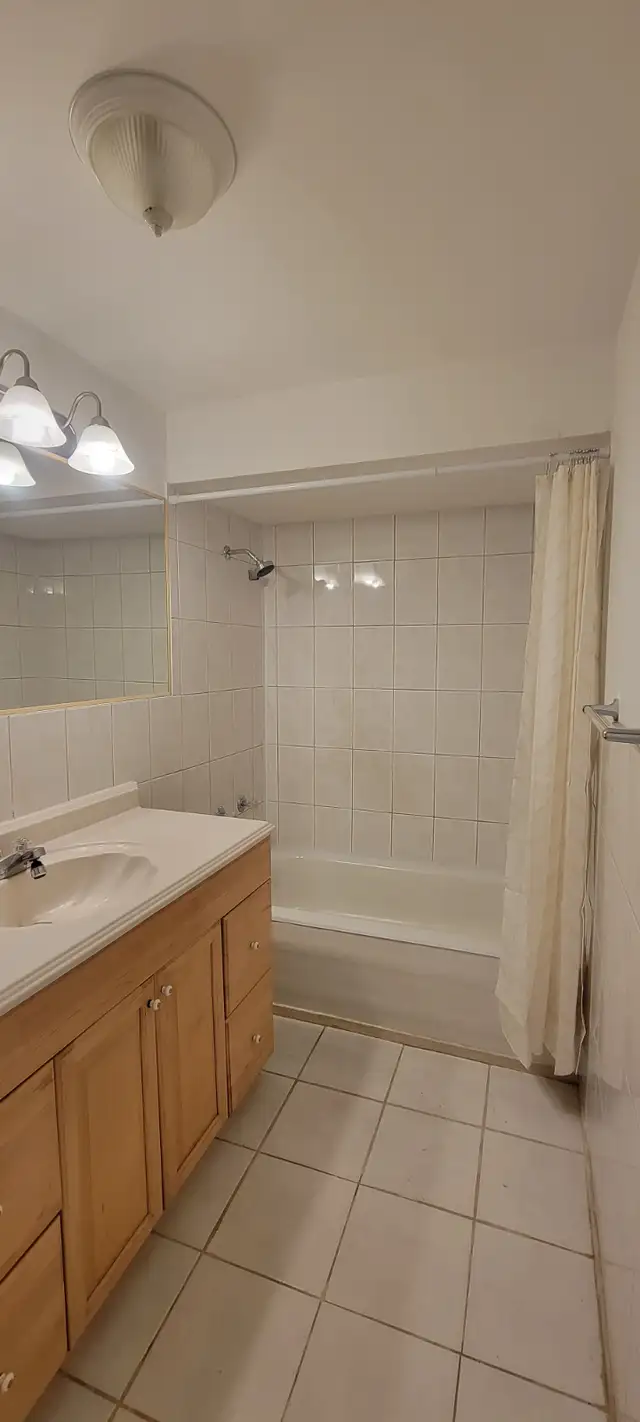 Basement for rent in Long Term Rentals in Markham / York Region - Image 3