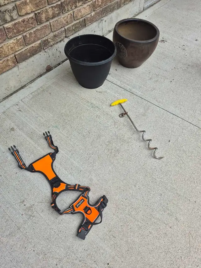 Dog harness in Accessories in Owen Sound - Image 2