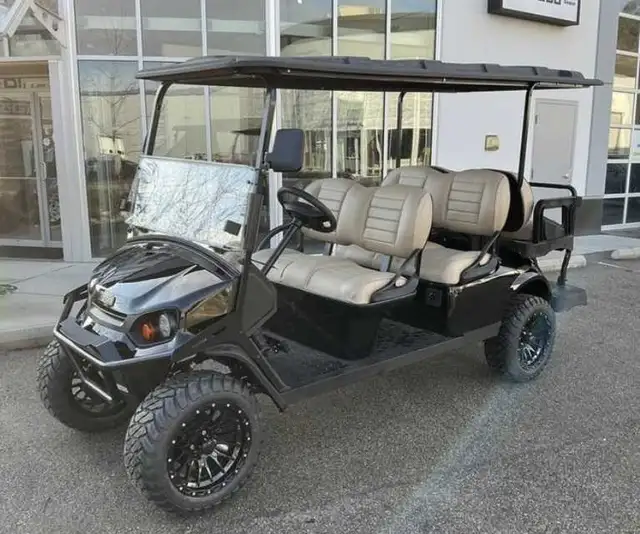 Golf Cart ezgo 2026 in Golf in Edmonton - Image 4