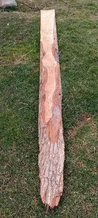 Live edge Oak Plank