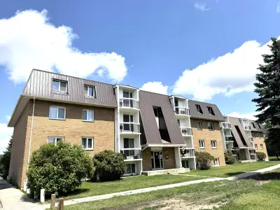 Renovated 2-bedroom 1 bathroom apartment for RENT